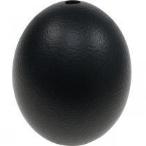 Product Ostrich Egg Decoration Blown Out Easter Decoration Black Ø12cm H14cm