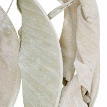 Strelitzia leaves washed white dried 45-80cm 10pcs