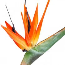Strelizie reginae artificial flower orange bird of paradise L85cm
