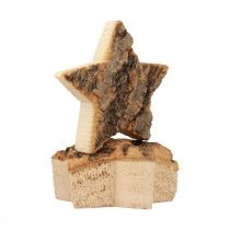 Product Scatter decoration Christmas stars wooden stars with bark Ø5cm 12pcs