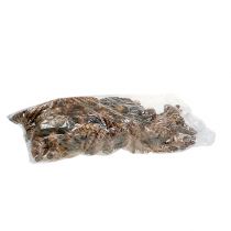 Product Strobus cones 15 - 20cm painted 100 pcs