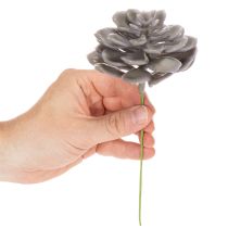 Product Artificial succulent wax flowers decoration 10cm 6pcs