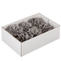 Product Artificial succulent wax flowers decoration 10cm 6pcs