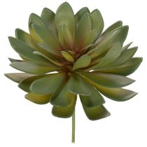 Product Artificial succulent as a decorative plant, green, 18cm, 3 pieces