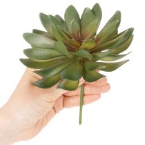 Product Artificial succulent as a decorative plant, green, 18cm, 3 pieces
