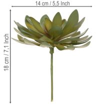 Product Artificial succulent as a decorative plant, green, 18cm, 3 pieces