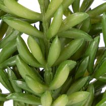 Product Artificial succulent flower for low-maintenance design of living and office spaces, 15cm, 6 pieces