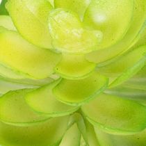 Product Artificial succulent plant, green, for decoration in a bowl or vase, 10cm, 4 pieces
