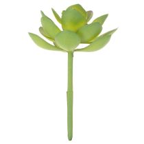 Product Artificial green succulent plant as decoration for creative arrangements