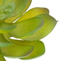 Product Artificial green succulent plant as decoration for creative arrangements