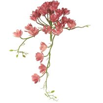 Product Artificial succulent 28 rosettes Aeonium old pink 43cm