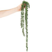 Product Artificial plant hanging garland succulent decoration living room