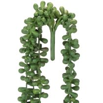 Product Artificial plant hanging garland succulent decoration living room