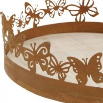 Product Tray with butterflies, spring, table decorations, metal decoration patina Ø20cm H6.5cm