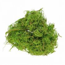 Product Tamarind Fiber Light Green Natural Fiber Crafting Decorating 500g Exotic DIY