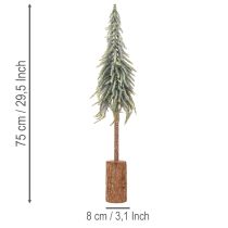 Product Artificial fir tree, iced, decorative tree on a wooden base for winter decoration and Christmas, 75cm