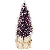 Product Decorative Christmas tree in purple with snow tip on a rustic wooden base 15cm 3 pieces.