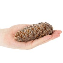 Product Ceramic pine cones, table decoration, autumn, 14cm, 3 pieces