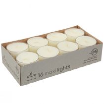 Product Tealights maxi with transparent cover white 54mm 16 pcs