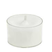 Tea lights white in plastic bowl 50pcs