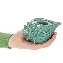 Product Tealight holder seashell decorative table candle bathroom living room 16cm