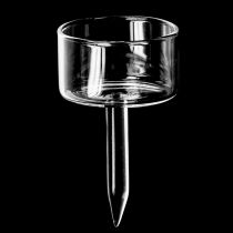 Product Tealight holder glass tealight plug clear Ø4.5cm H8cm 8 pcs