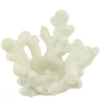 Product Tealight holder coral decorative cream maritime Ø12cm H8cm