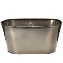 Product Oval planter with embossed fir tree design, 25cm