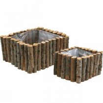 Plant bowl square natural birch branches 14.5/20cm set of 2