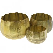 Decorative bowl brass metal bowl Ø22/18/14cm set of 3