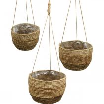 Hanging basket, basket of corn leaves, hanging planter Natural Ø28/24.5/21cm, set of 3
