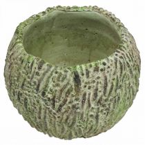 Product Planter concrete antique look green, brown planter Ø13cm