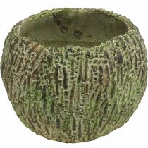 Product Concrete planter, antique look, green and brown, round plant pot, Ø15.5cm