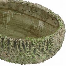Product Planter concrete oval antique look green, brown 24×14×13cm