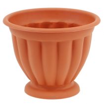 Product Plastic flowerpot with terracotta base Ø 15cm - 21cm, 1 piece