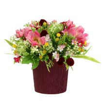 Product Pot cuff crepe as a set 95/115/135mm 150pcs