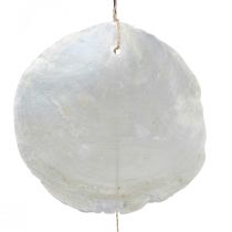 Product Driftwood Capiz shell garland mother of pearl H100cm