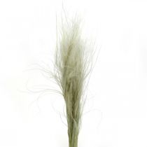 Dried flowers deco feather grass dry grass nature 50g