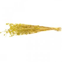 Product Dried flowers, yellow, dried thistle, strawberry thistle, 100g, decorative boho style