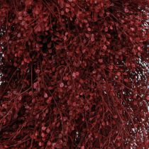 Product Decorative wreath, dried flowers, Bordeaux Lepidium, wall decoration, elegant, natural, Ø33cm