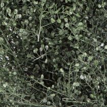 Product Dried flower decorative wreath, green metallic Lepidium, Ø33cm – Modern elegance for wall &amp; table