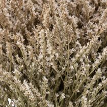 Product Dried flower beach lavender bunch Statice nature 1kg
