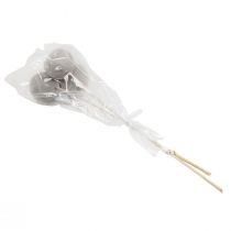 Product Dried flowers decoration bell cups on a stick grey 37cm 3 pcs