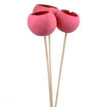 Product Dried flowers decorative bell cups on a stem pink 42cm 3pcs