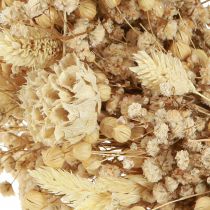 Product Dried flower wreath bleached decorative wreath cream Ø25cm