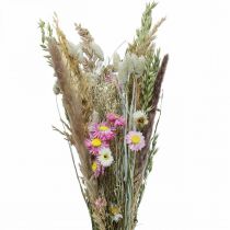 Product Bouquet of dried flowers grass Phalaris straw flowers pink 60cm 110g
