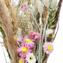 Bouquet of dried flowers grass Phalaris straw flowers pink 60cm 110g
