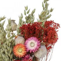 Bouquet of dried flowers Bouquet of meadow flowers Red H50cm 150g