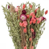 Product Bouquet of dried flowers straw flowers grain poppy capsule Phalaris sedge 55cm