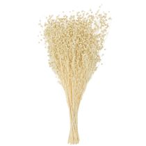 Product Dried grass flax dried natural bleached 50-55cm 180g